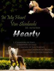 In My Heart Von Shinbashi In My Heart Von Shinbashi