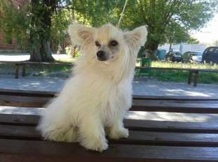 Ulina Bonus Westtai Ulina Bonus Westtai