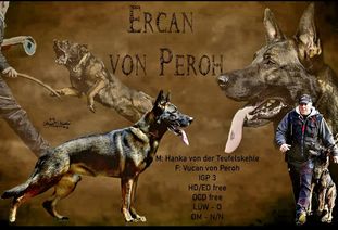 Ercan von Peroh Ercan von Peroh