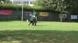 Amon vom Geistbichl Amon vom Geistbichl