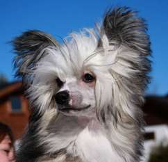 Fluffysteps Created To Seduce You Fluffysteps Created To Seduce You