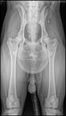 00000000_DICOM_DX_2020_10_22_0000606612.jpg