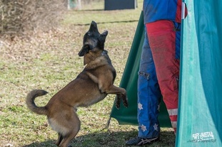 Avatar vom puren Leben Avatar vom puren Leben