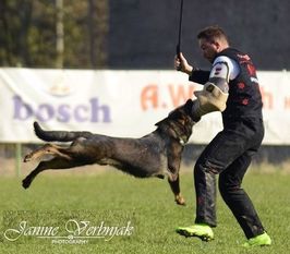 Gustl vom Trogenbach Gustl vom Trogenbach
