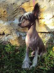 Gee Luli (dgee Luli) Gee Luli (dgee Luli)