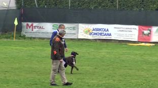 Ronnie della Fenice Nera Ronnie della Fenice Nera
