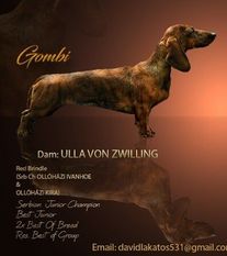 Ulla von Zwilling Ulla von Zwilling
