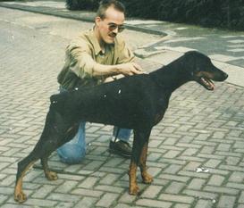 Ziggy vom Franckenhorst Ziggy vom Franckenhorst