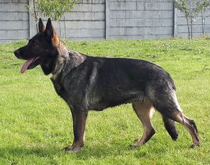 Clody z Malinovej Clody z Malinovej