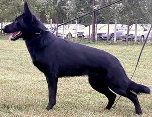 Eross Grayblack Eross Grayblack