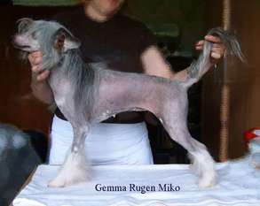 Gemma Rugen Miko Gemma Rugen Miko