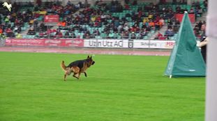 Hutch von der Piste Trophe Hutch von der Piste Trophe