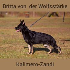 Britta von der Wolfsstärke Britta von der Wolfsstärke