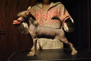Arte Figure Get Ur Freak On Arte Figure Get Ur Freak On
