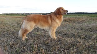 Earl-Jasper von Wackerbarth Earl-Jasper von Wackerbarth