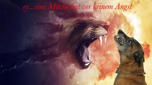Mücke (Oppenkamp) Mücke (Oppenkamp)