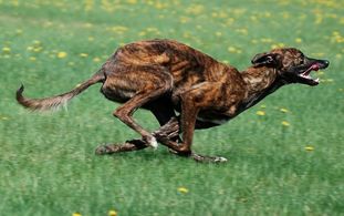 Be Tenaciously Aerodynamic Be Tenaciously Aerodynamic