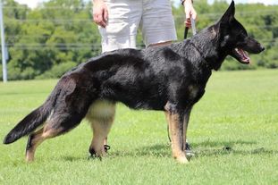 Xara von der Tetiaroa Xara von der Tetiaroa