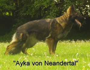 Ayka von Neandertal Ayka von Neandertal