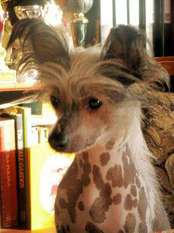 Oddie Z Chmielnik Oddie Z Chmielnik