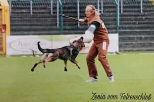 Zenia vom Felsenschloß Zenia vom Felsenschloß