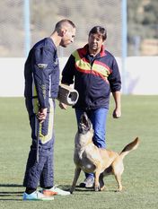 Athos Red Devils Dog Athos Red Devils Dog