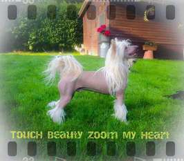 Touch Beauty Zoom My Heart Touch Beauty Zoom My Heart