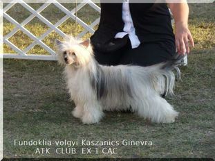 Fundoklia-völgyi Kaszanics Ginevra Fundoklia-völgyi Kaszanics Ginevra