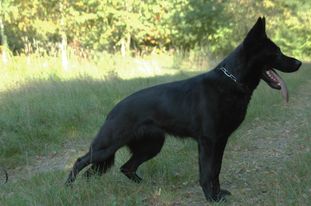 Bira von der Teufelskehle Bira von der Teufelskehle