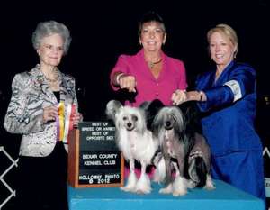 Gch Bcnu Cruisin' The Big Easy Gch Bcnu Cruisin' The Big Easy