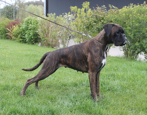 Avita von der Kleinen Boye Avita von der Kleinen Boye