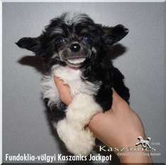Fundoklia-völgyi Kaszanics Jackpot Fundoklia-völgyi Kaszanics Jackpot