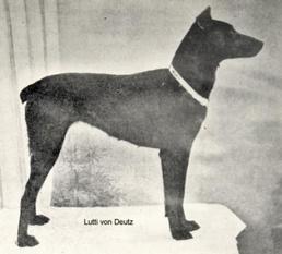 Lutti von Deutz Lutti von Deutz