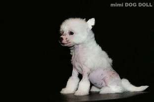 Mimi Dog Doll Havana Mimi Dog Doll Havana