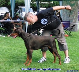 Dunfhlaith vom Apoldastamm Dunfhlaith vom Apoldastamm
