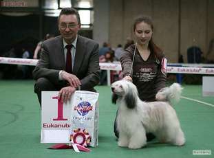 Apriori Vip Onezhka Apriori Vip Onezhka