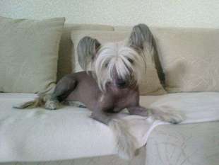 Beatris Bonpari Beatris Bonpari