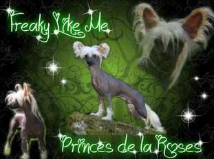 Freaky Like Me Princes De La Roses Freaky Like Me Princes De La Roses