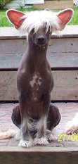 Bundas Wizard's Majic Wand Bundas Wizard's Majic Wand