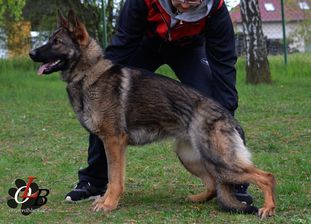 D´Roxy od Turoveckých rybníků D´Roxy od Turoveckých rybníků