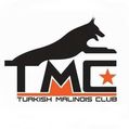 TMC IPO
