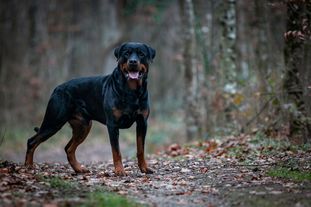 Eros vom Oberhausener Norden Eros vom Oberhausener Norden