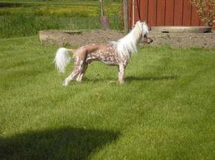 Om Ints Albin Om Ints Albin