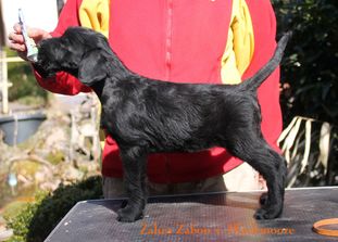 Zahra Zabou von Blackmoore Zahra Zabou von Blackmoore