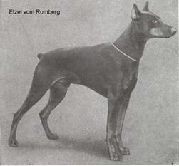 Etzel vom Romberg Etzel vom Romberg