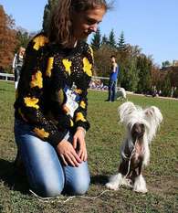 Skazka Na Rozdestvo Moy Zhenshen Skazka Na Rozdestvo Moy Zhenshen
