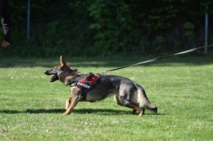 Anka vom Team Ammerdamm Anka vom Team Ammerdamm
