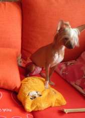 Clea Z BesÃru Clea Z BesÃru