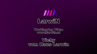 Vichy vom Haus Larwin Vichy vom Haus Larwin
