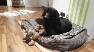 Punto vom Schondratal Punto vom Schondratal
